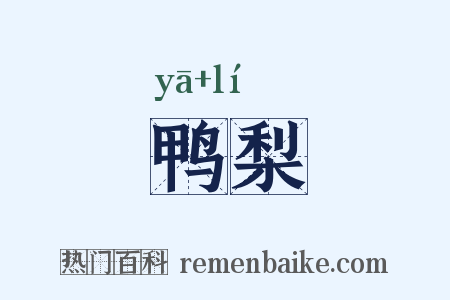 鸭梨是什么意思的图片